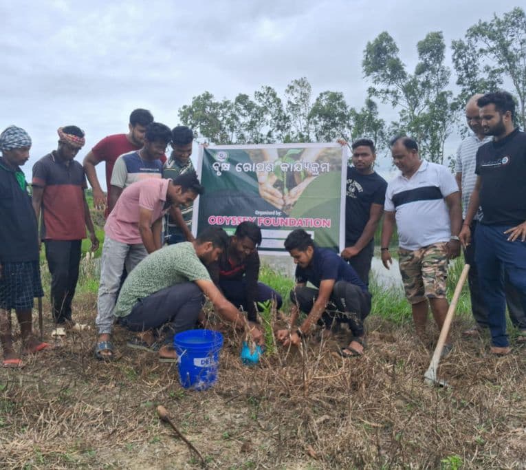 Building a Greener Tomorrow, One Tree at a Time
